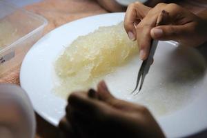 Edible bird's nest Process photo