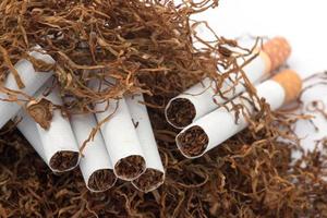 Tobacco pile and cigarettes photo