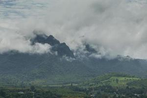 hermoso paisaje de montaña, bosque y niebla. foto