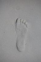 Singel footprint on sand beach photo