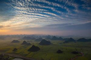 campo de flores de colza amarilla en luoping, china foto