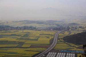 Yellow rapeseed flower field in Luoping, China photo