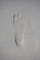 Singel footprint on sand beach photo