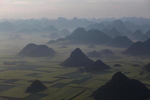 campo de flores de colza amarilla en luoping, china foto