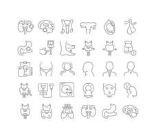 Set of linear icons of Endocrinology vector