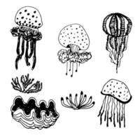 Vector set of inhabitants of the seabed. Jellyfish of different shapes.