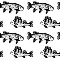 Seamless vector pattern of ruff fish on a white background. A hand-drawn doodle. River fish and fishing. For album design, paper, fabric printing, for boys.