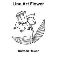 Sketch or line art daffodil flower vector