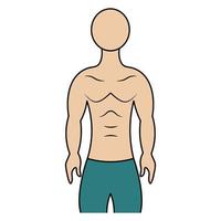 Muscular torso of a man. Color vector illustration. Athletic body of a young man. Unknown person. Isolated background. Cartoon style. Idea for web design