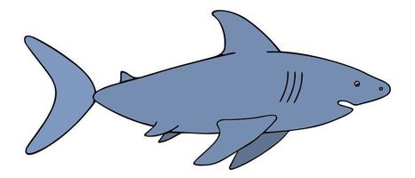 Shark. Color vector illustration. Large predatory marine fish. An underwater monster with a toothy jaw. Isolated background. Cartoon style. Dangerous dweller of the deep. Idea for web design.