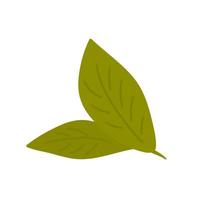 Green tea leaves on white background. Vector illustration. Element for design, advertising, packaging of tea products