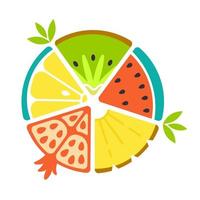 Juicy slices of ripe tropical fruits in the form of a circle. Bright vector isolated image on a white background. Great design suitable for any purpose - stickers, labels, posters, banners or cards.