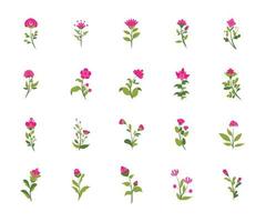 pink flower collection set illustration flat style vector