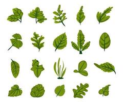 green leaf vector nature illustration set flat style