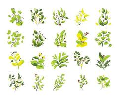 green flower collection element set flat style vector