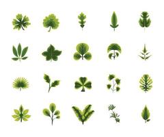 green leaves collection element set flat style vector