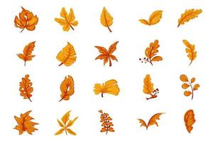 autumn leaf orange yellow vector element set flat style