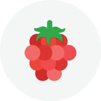 Raspberry Flat Circle vector