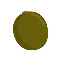 ilustración de kiwi aislado sobre fondo blanco. vector