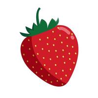 strawberry Illustration isolated on white background. vector