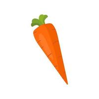 carrot Illustration isolated on white background. vector