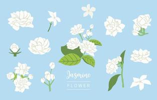 white jasmine object on blue background vector