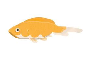 golden fish vector illustration