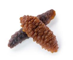 Beautiful sea cucumber seafood isolated on white background, clipping path, cut out, close up. photo