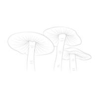 Mushroom coloring pages vector