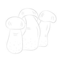 Mushroom coloring pages vector