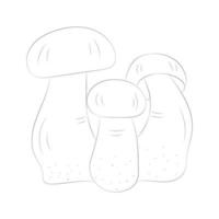 Mushroom coloring pages vector