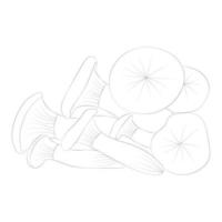 Mushroom coloring pages vector