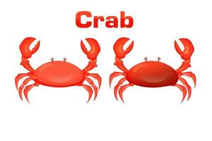 red crab vector illustration. Sea creatures isolated