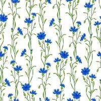 patrón transparente de vector de campo de aciano. flor de pradera silvestre de verano, textura de planta de miel. fondo azul mala hierba. diseño floral botánico de centaurea para textiles, telas, envolturas