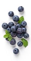 Blueberry fruit top view isolated on a white background, flat lay overhead layout with mint leaf, healthy design concept. photo