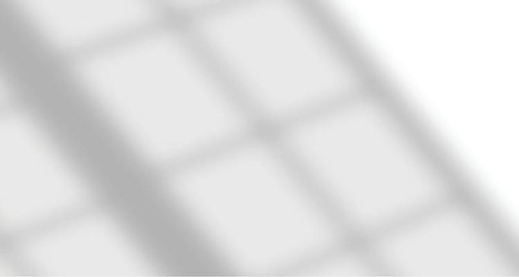 Realistic blurred natural light windows, palm leaves shadow overlay on wall paper or frames texture, abstract background, summer, spring, autumn for product presentation podium and mockup seasonal