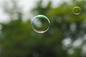 Soap Bubbles Floating In The Trees Background photo