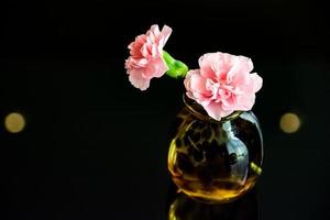 flor de clavel rosa en florero foto