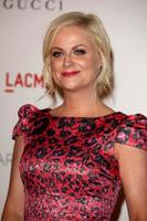LOS ANGELES, NOV 5 -  Amy Poehler arrives at the LACMA Art  Film Gala at LA County Museum of Art on November 5, 2011 in Los Angeles, CA photo