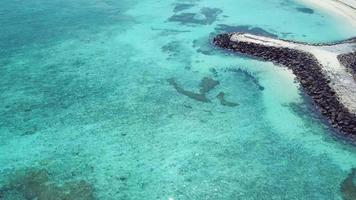 vista aerea dell'isola di maafushi, maldive video