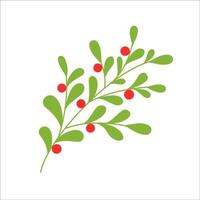 Mistletoe on a white background. Flat vector illustration