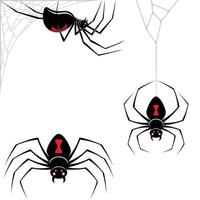 araña de diseño latrodectus mactans vector