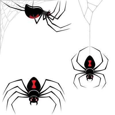 Design Spider Latrodectus mactans