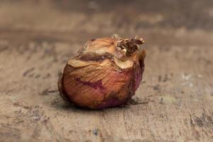 Shallot on brown wooden background photo