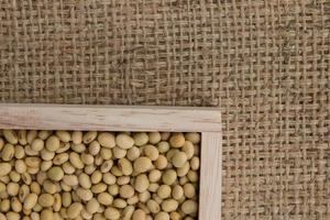 soy bean on the sacks background. photo