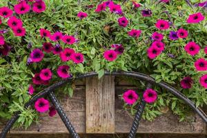 Flowers on the wagon photo