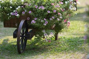 flores en el carro foto