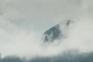 hermoso paisaje de montaña, bosque y niebla. foto