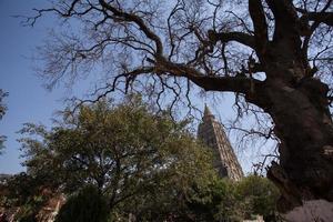 Mahabodhi temple, bodh gaya, India photo