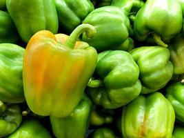 Large fresh green peppers, ingredients for cooking. photo